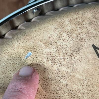 LP Latin Percussion LP222-1MC Martin Cohen Limited Edition 11" Quinto Champagne Sparkle image 6