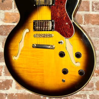 Jay Turser  JT134DC 335 Style Semi-Hollowbody Electric Guitar - Sunburst, Ships Fast with A Pro Set Up! image 1