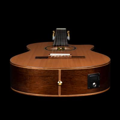 Ortega RCE159MN Performer Series Solid Cedar Top Mahogany Neck Cutaway Nylon 6-String Classical Acoustic-Electric Guitar w/Gig Bag image 11