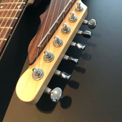 Jerry Jones Supreme Dual Neck Sitar 2000s Gatorburst image 4