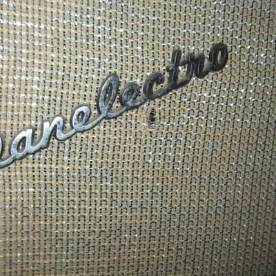 Circa 1965 Danelectro DM-25 Combo Piggyback Amp image 3