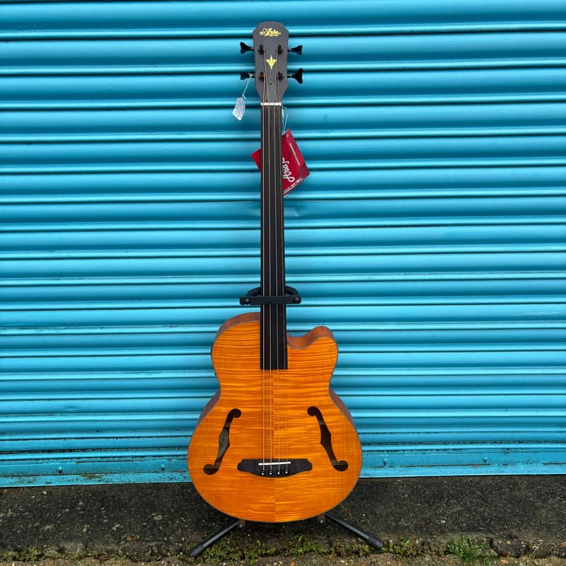 Aria FEB F2/FL M Hollow Body Fretless Medium Scale Electro