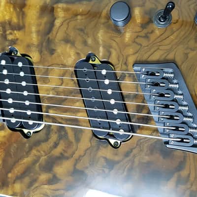 Buy Me! Ormsby Swamp Ash GTR Hypemachine 2016 Walnut Burl Video inside as well image 2