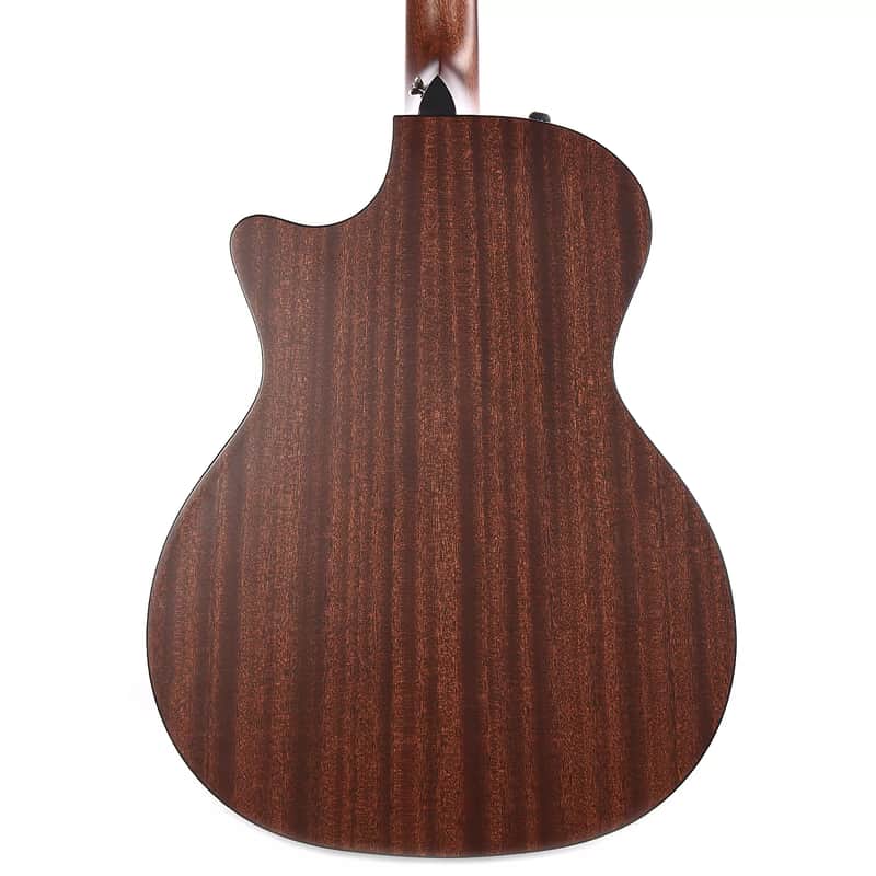 Taylor 314ce with V-Class Bracing image 4