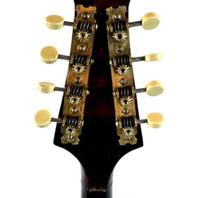 Concert Mandolin G. Kasermann (Carlo Sartori Label) from 1929 image 12