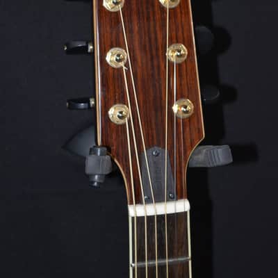 Giannini Nashlyn-A Amber image 3