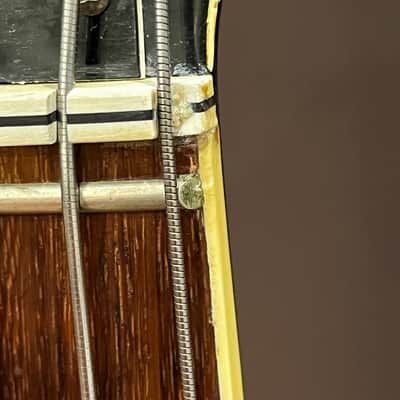 1964 Hofner 500/1 image 17