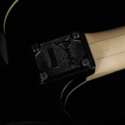 Ibanez PGM333 30th Anniversary Paul Gilbert Signature (#898) image 10