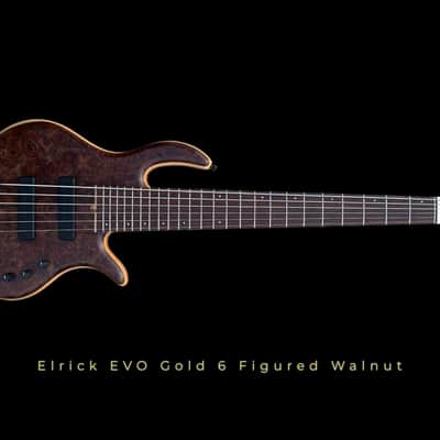 Elrick Basses Evolution Gold 6 - Burled Walnut 2024 - Satin image 2