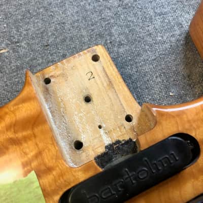 Roscoe #2: 1984 custom stratocaster guitar image 9