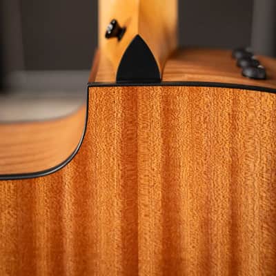 Taylor 110ce Dreadnought Acoustic/Electric Guitar - Solid Torrefield Spruce with Gig Bag - Factory Demo image 8