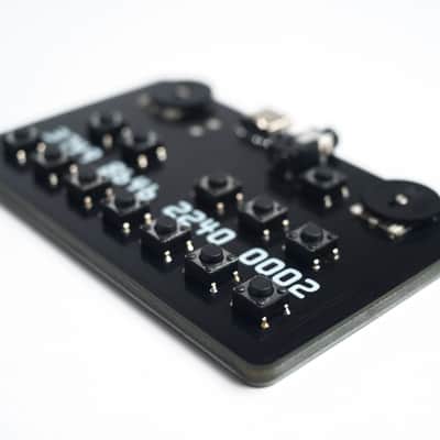 Mad Sound Factory Card (Sound Bank) Rompler; NEW image 9