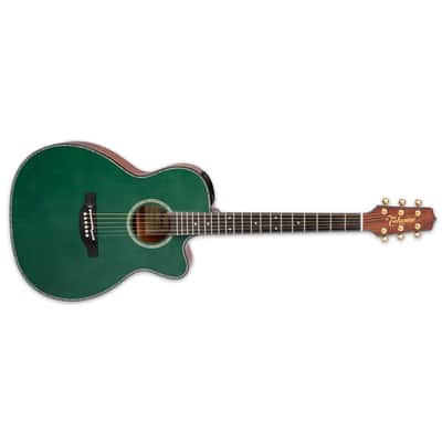 Takamine LTD2025 Acoustic Electric Guitar Gloss Antique Evergreen + Semi-Hard Case BRAND NEW image 1