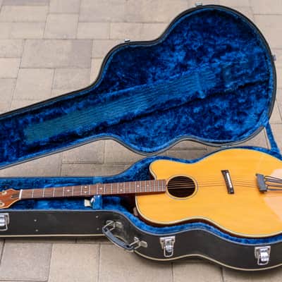 Vintage 1979 Takamine PTS-015 Acoustic-Electric Archtop – Made in Japan – Original Case image 11