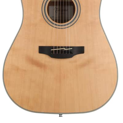 Takamine GD20CE-NS Acoustic-Electric Guitar - Natural Satin image 1