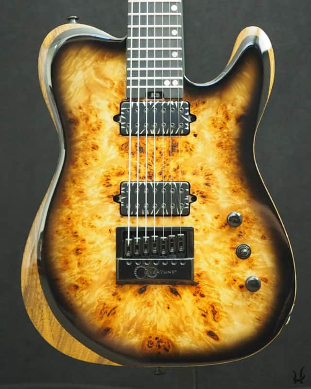 Halo Guitars SALVUS 7-string (27") Bare Knuckle Aftermath, Evertune, Neck Through, Burl Top 🤘🏻 image 1