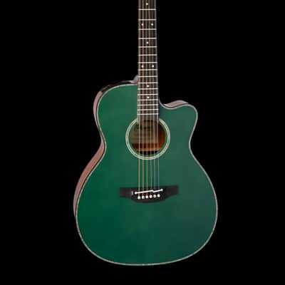 Takamine Limited Edition - Model LTD 2025 - Acoustic Guitar image 2