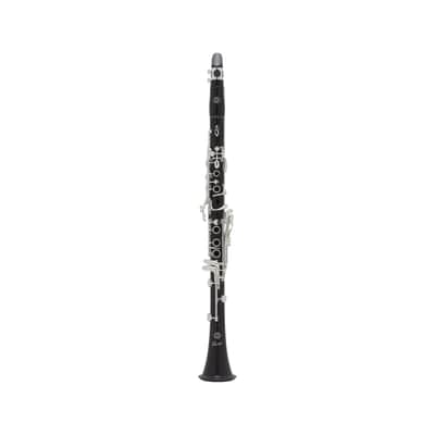 Selmer Paris B16PR2 Privilege Bb Clarinet