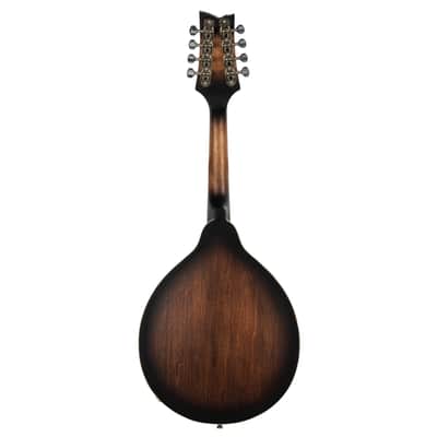 Ortega RMAE30-WB Americana Series Spruce Top Maple Neck F-Holes A-Style 8-Strings Mandolin image 6