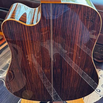 Zager ZAD-900CE 50th Anniversary Edition - Sunburst Fishman Aura Pro Pickup image 4