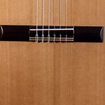 Kremona Verea | Solid Cedar Top Acoustic / Electric Classical Guitar. New with Full Warranty! image 4