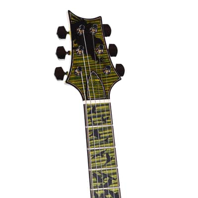PRS Private Stock #11767 Paul's Guitar Curly Maple/African Mahogany Rainforest Glow w/Stained Neck/Fingerboard & Birds of a Feather Inlay (Serial #0406986) image 14