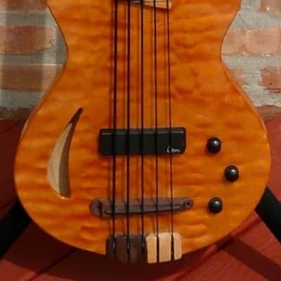 Veillette Paris Lined Fretless image 1