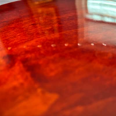 Gretsch 6119 Chet Atkins Tennessean 1967 image 11
