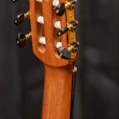 Chris Carrington Classical Guitar SN 384 2023 - Gloss top and sides, satin back image 24