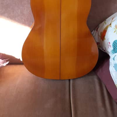 Javier Castano 2019 image 5