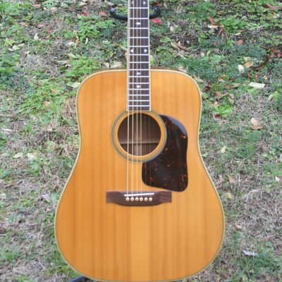 1975 Takamine Elite Doc Watson TW-30G Natural+retro case image 2