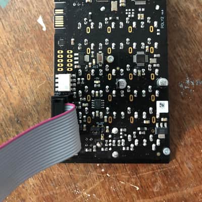 Polyend Poly 2 MIDI to CV Converter 2019 - 2021 - Black image 4