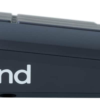 Roland SPD-SX Pro Percussion Pad with 4.3-Inch Display, Customizable Pad-Dividing LED Lights, and 32 GB Internal Storage image 4