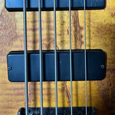Ibanez SR30TH5-NNF Standard Soundgear Bass 2017 - Natural Browned Burst Flat image 3