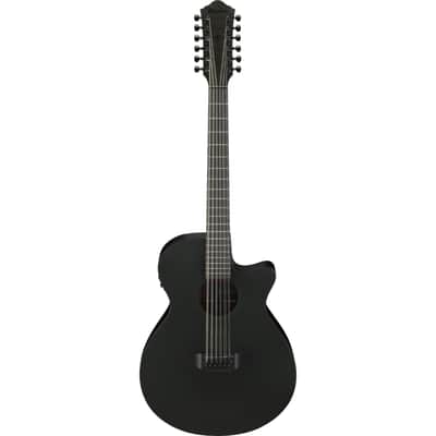 Ibanez AEG1221 12-string Acoustic-Electric Guitar - Black Out image 2