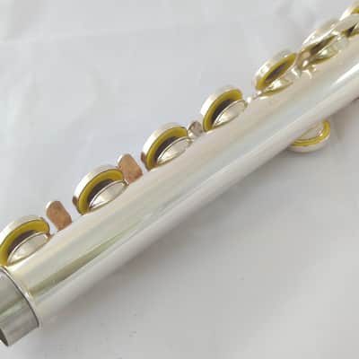 Immagine Recent Sankyo Etude PA flute ST-2 cut solid silver head closed hole - 7