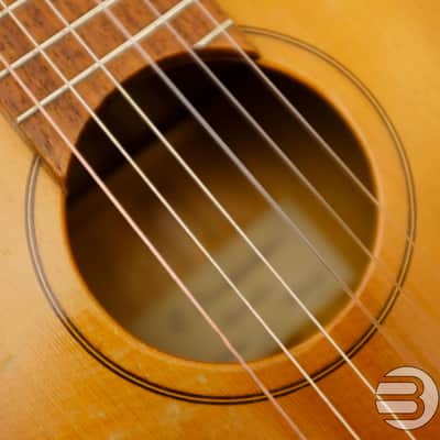 C. Swagemakers 4/4 Classical Guitar - Made in Schiedam, the Netherlands 1965 image 10