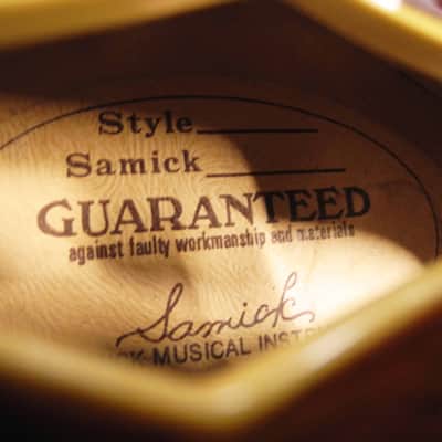 1994 Samick Korean Casino EPSA-TB Tobacco Sunburst w/Softcase Rare image 13