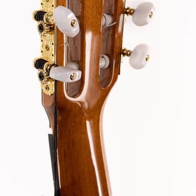 Estevé Alegria - All solid wood - Lattice Braced, Spruce/Indian Rosewood image 7