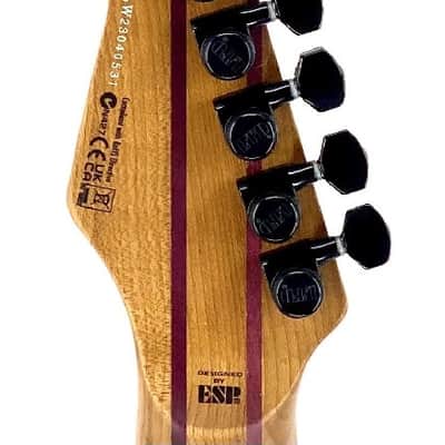 USED ESP LTD LSN1007 B 7-String Baritone Black Blast image 8