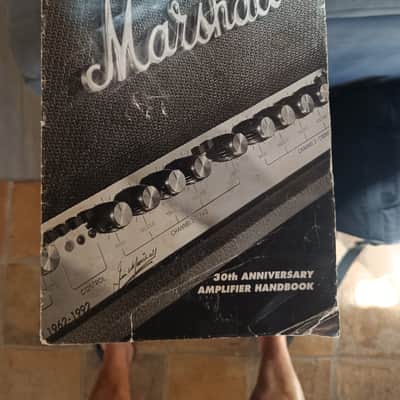 Marshall 6100 30th Anniversary mod BRBS image 7