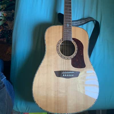 Washburn HD80S-L-U image 1