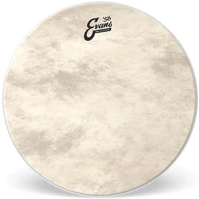 Evans BD20GB4CT EQ4 Calftone Bass Drum Head - 20"