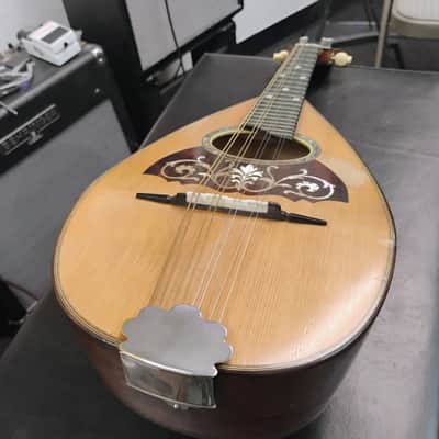 Vega Bowlback mandolin early 1900's image 5