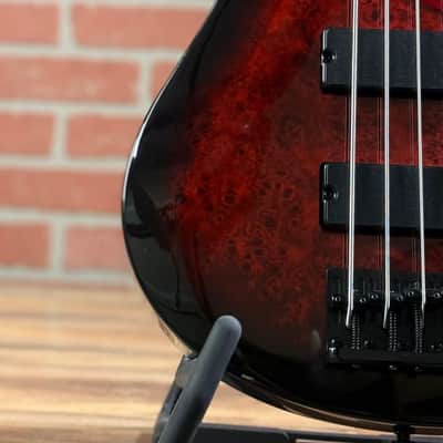 ESP LTD B-204DX 4-String Electric Bass Guitar - Red Burst image 4