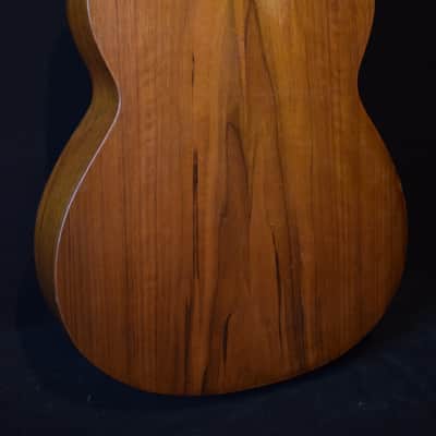 Monzino Hawaiian Square neck guitar 1920 image 6