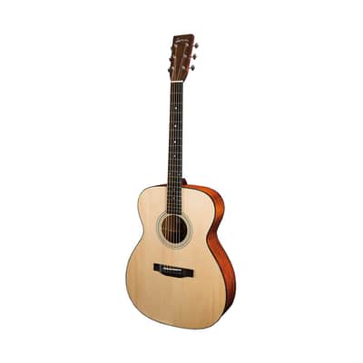 Eastman E10 OM image 1