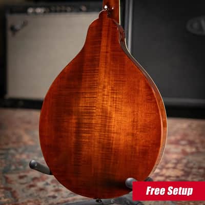 Eastman MD504 A-Style Mandolin - Classic with Hardshell Case image 2