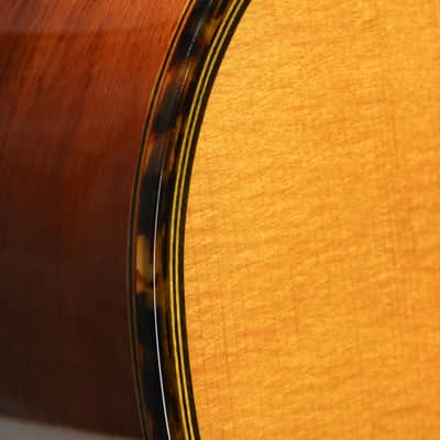Gitane John Jorgenson DG-320 *Used image 9