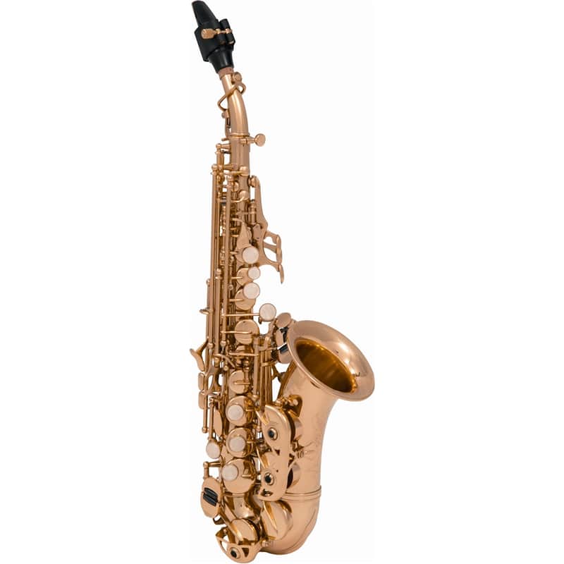 SML Paris VSM SC620 Sax 600 Soprano curvo image 1